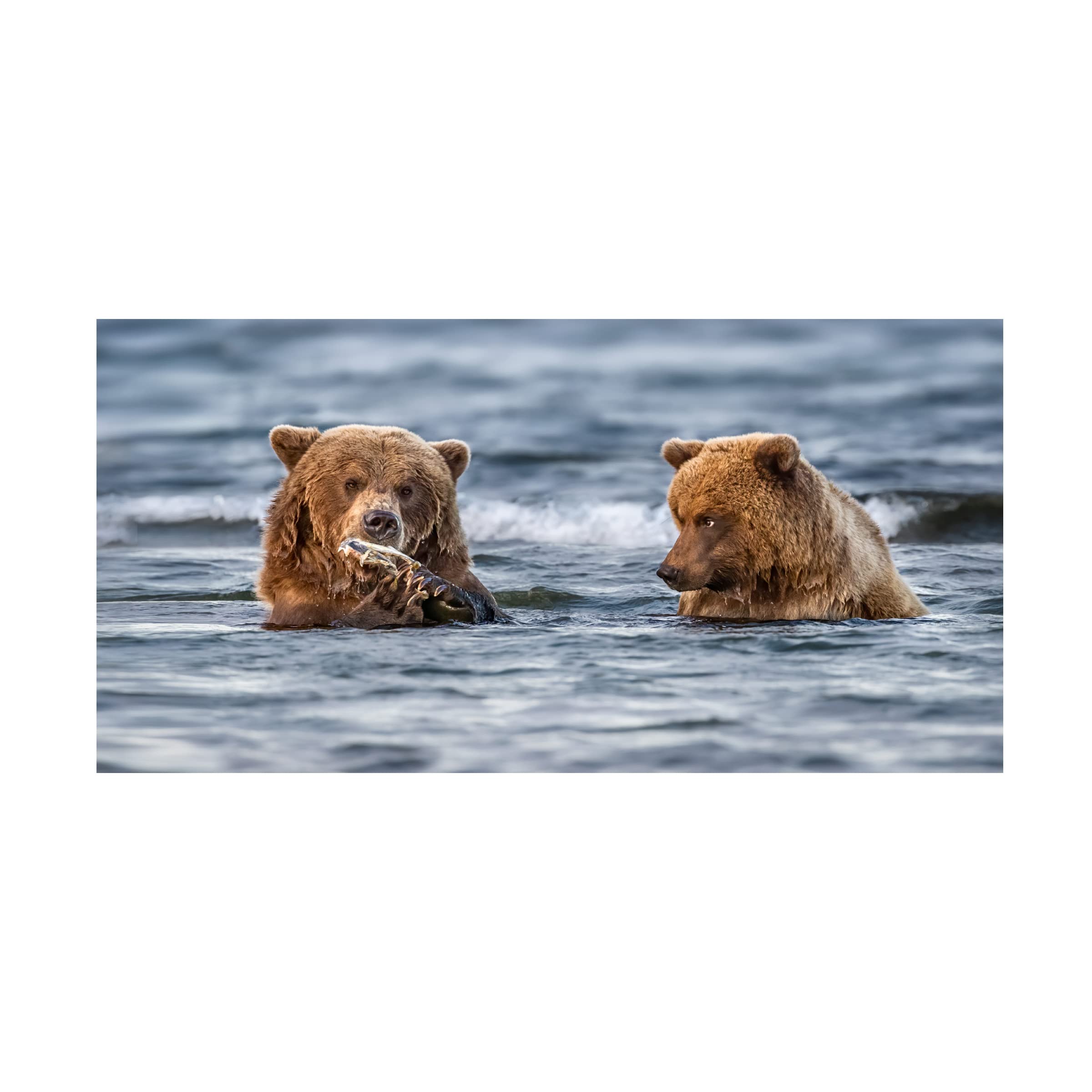 Trademark Fine Art 'The Look' Canvas Print by Siyu And Wei - Modern Wall Art for Living Room, Bedroom & Office Decor