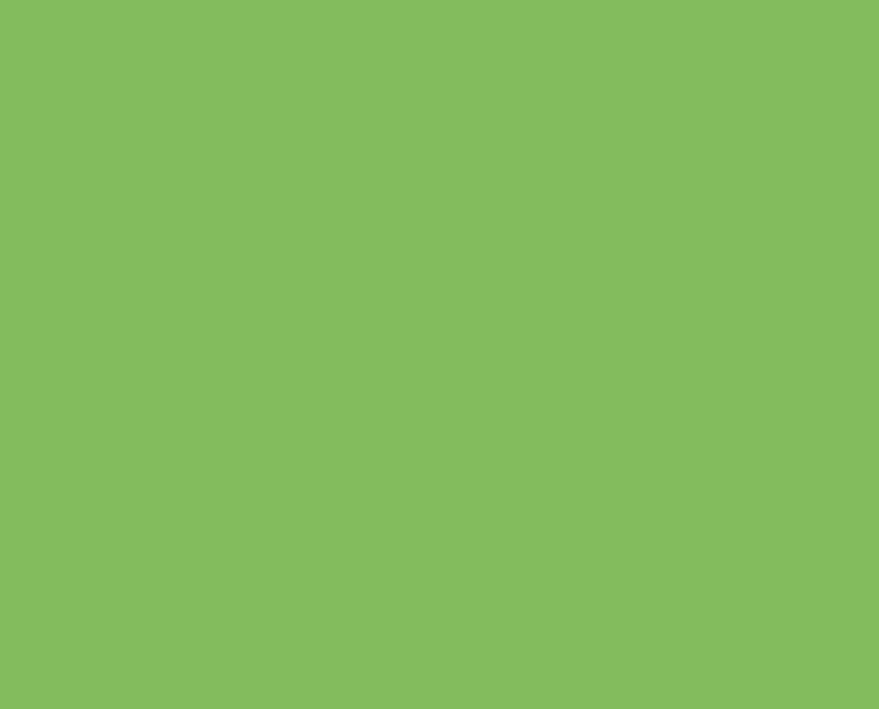 Premium A4 80gsm Kaskad Parakeet Green Paper - 500 Sheets Pack for Office, School & Craft Projects - Vibrant Colored Copy Paper for Printing, Scrapbooking & DIY