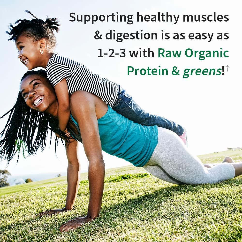 Garden of Life Organic Chocolate Vegan Meal Replacement Shake & Protein Powder - 2.4 LB, 20 Servings, Dairy-Free, Plant-Based Nutrition for Weight Management & Post-Workout Recovery | Perfect for Smoothies, Breakfast, and Healthy Snacks