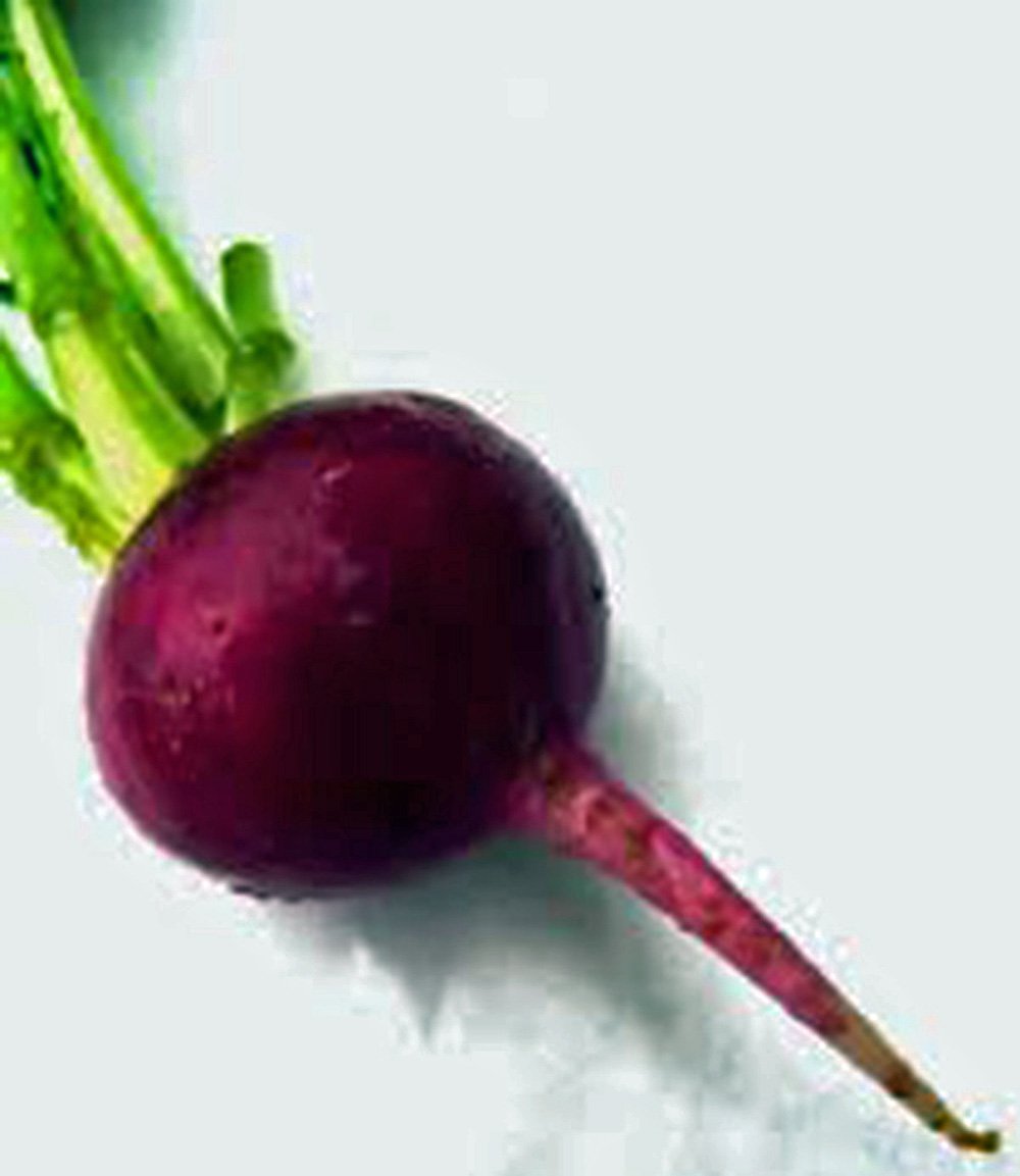 Early Wonder Heirloom Non-GMO Beets Seeds (100 Count) - Tender & Sweet Beet Variety for Home Gardening, Canning, and Fresh Salads