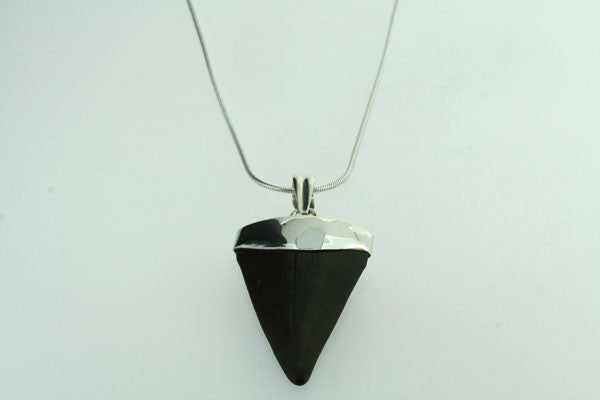 Authentic Fossilized Shark Tooth Pendant Necklace - Large Size on 60cm Stainless Steel Chain - Perfect for Beach Lovers & Fossil Collectors