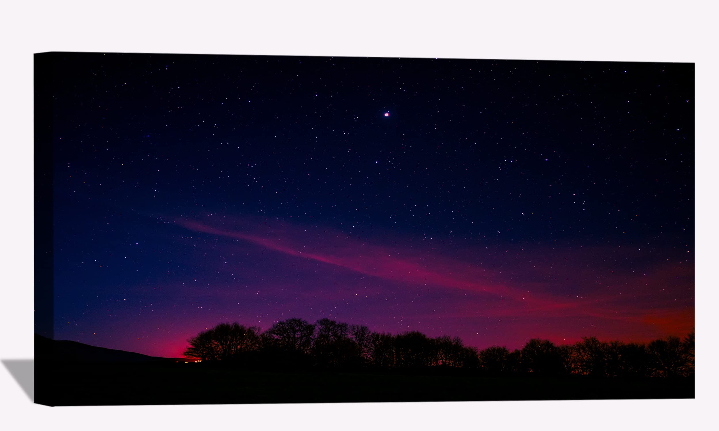 Northern Lights Canvas Art - Pink Aurora Wall Decor for Home & Office
