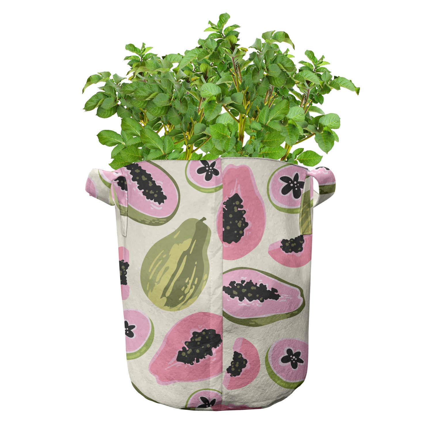 Ambesonne 5-Pack Heavy Duty Fabric Grow Bags with Handles - Tropical Papaya Fruit Design Plant Pots for Indoor/Outdoor Gardening, Vegetables, Herbs & Flowers