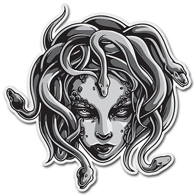 Medusa Silver Chrome Spinning Keychain - Durable Double-Sided Keyring for Cars & Bags