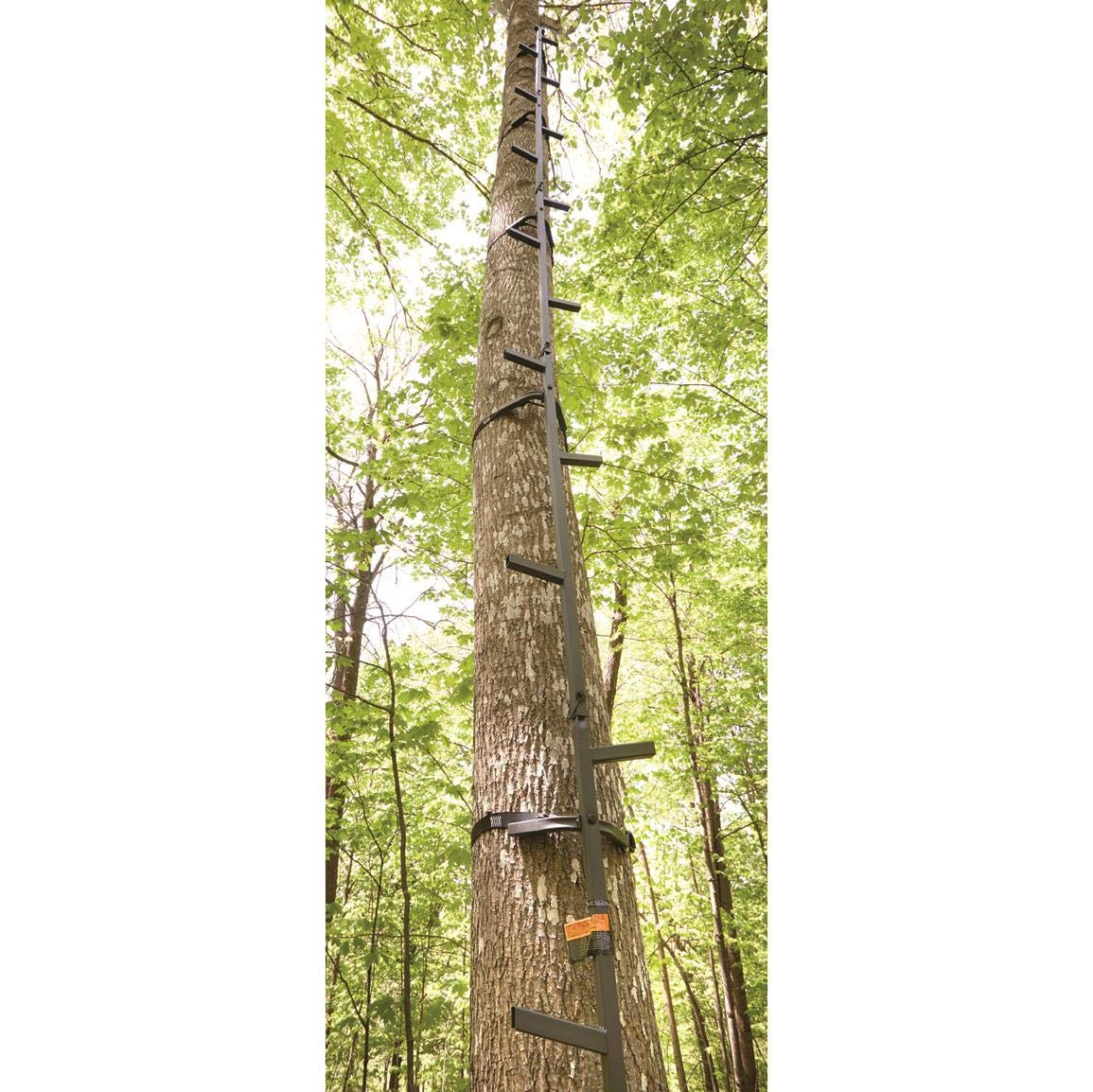 Guide Gear 25' Climbing Stick Ladder for Tree Stands - Lightweight Aluminum Hunting Climbing Equipment for Deer Hunting & Outdoor Adventures - Perfect for Tree Stand Access, Wildlife Observation, and Hunting Expeditions