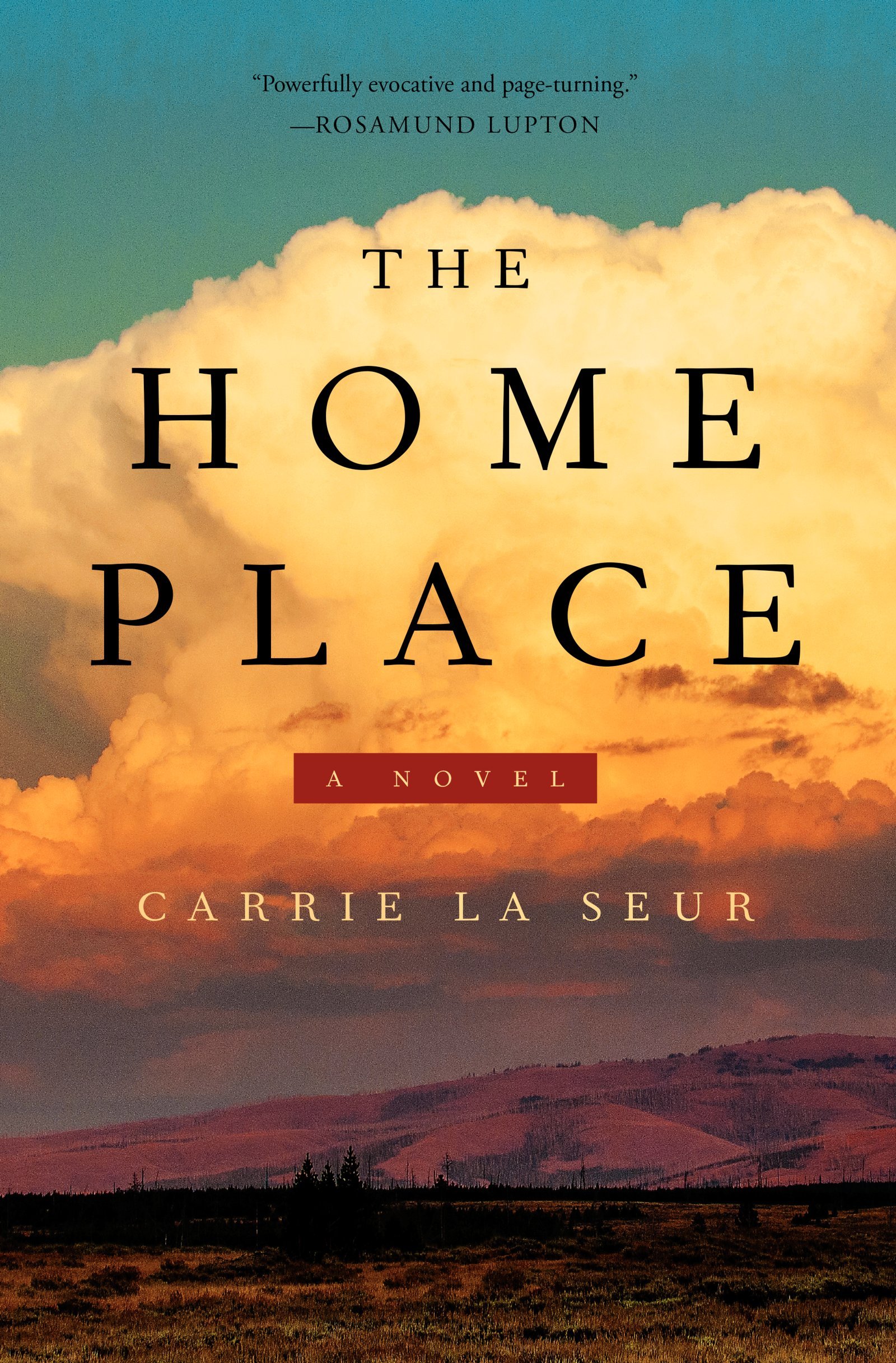 The Home Place: A Novel - A Heartwarming Family Story | Perfect for Book Clubs, Gifts & Relaxing Reads