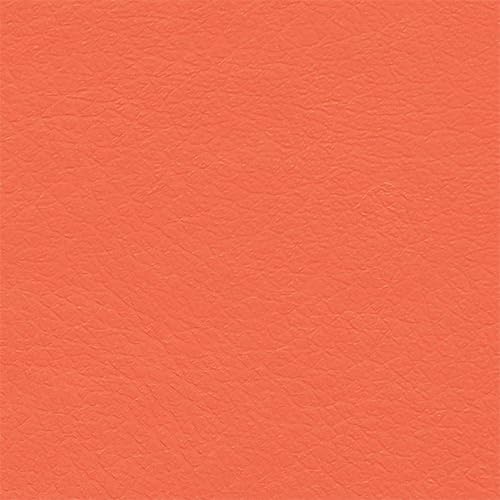 Cambridge Coral