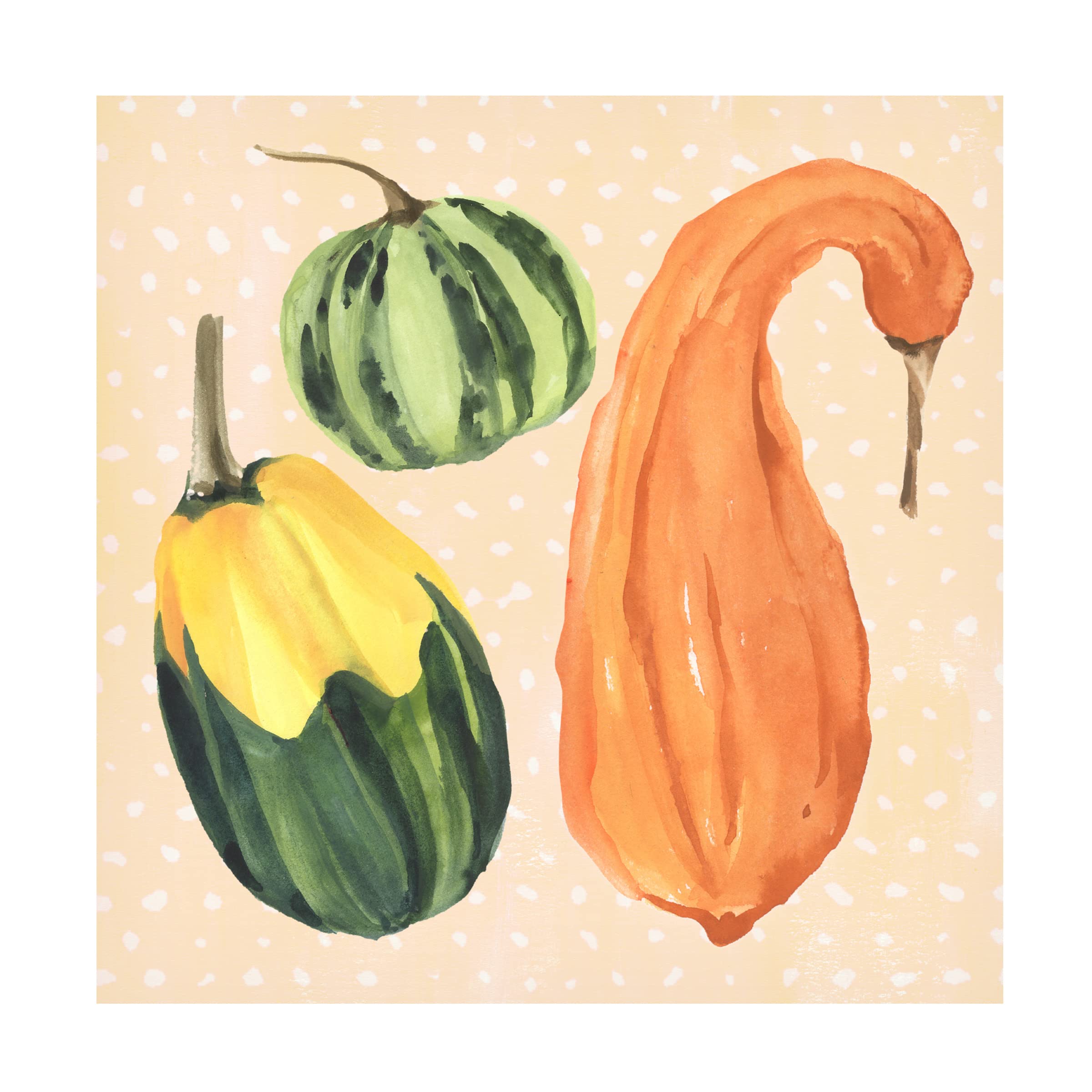 Annie Warren 'DecoratIVe Gourd IV' Canvas Wall Art Print - Modern Home Decor for Living Room, Bedroom & Office
