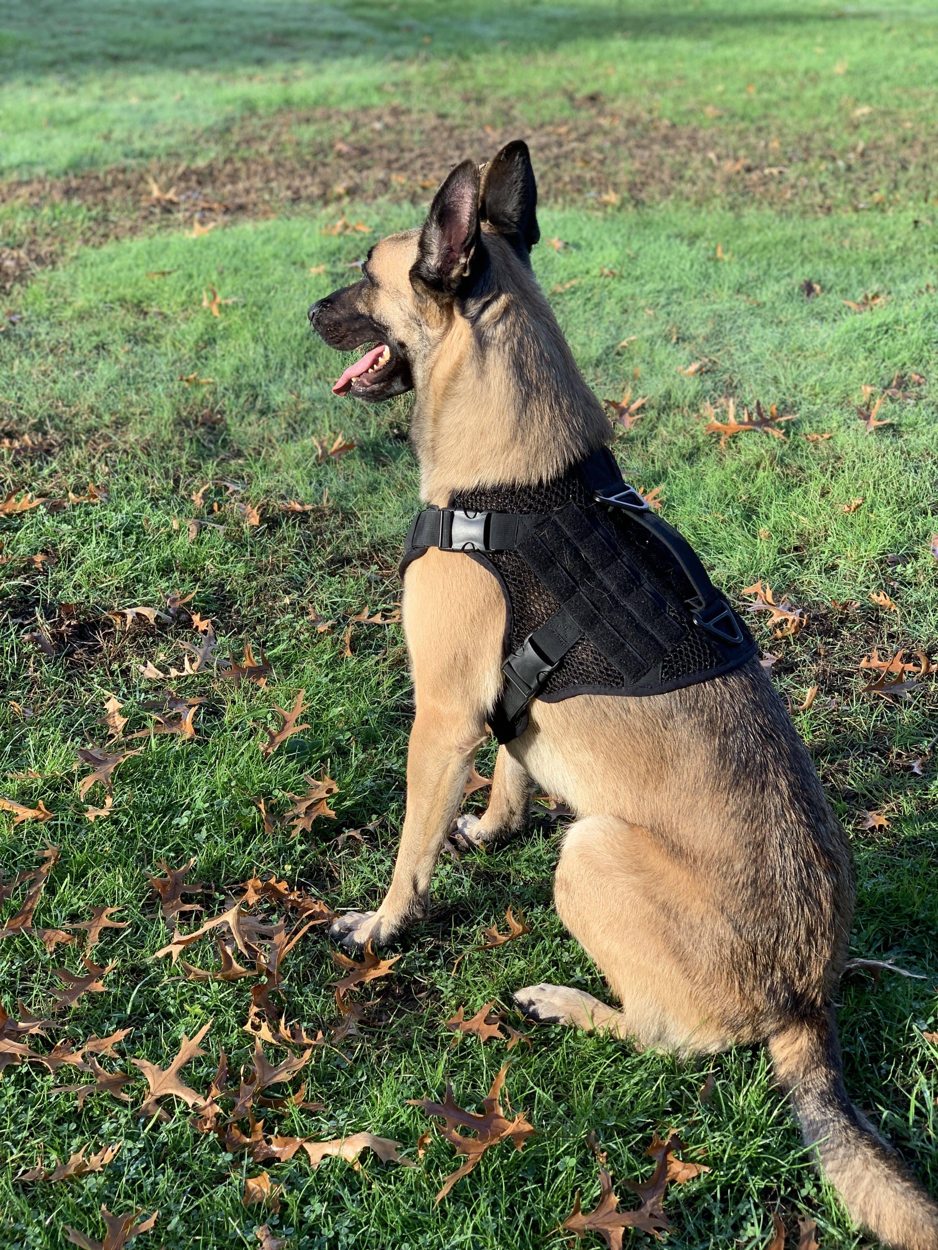 Artemis No Pull Dog Harness - Adjustable, Breathable, No Tug No Choke Pet Vest for Small Medium Large Dogs - Perfect for Walking, Running, Hiking & Outdoor Adventures