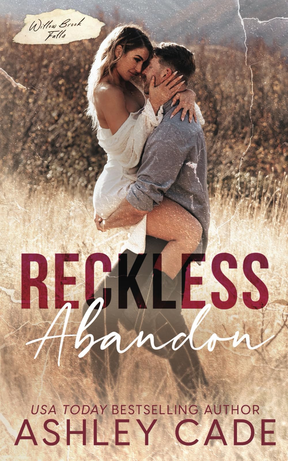 Reckless Abandon: Small Town Single Parent Romance Novel - Willow Brook Falls Series | Heartwarming Love Story for Book Clubs & Beach Reading