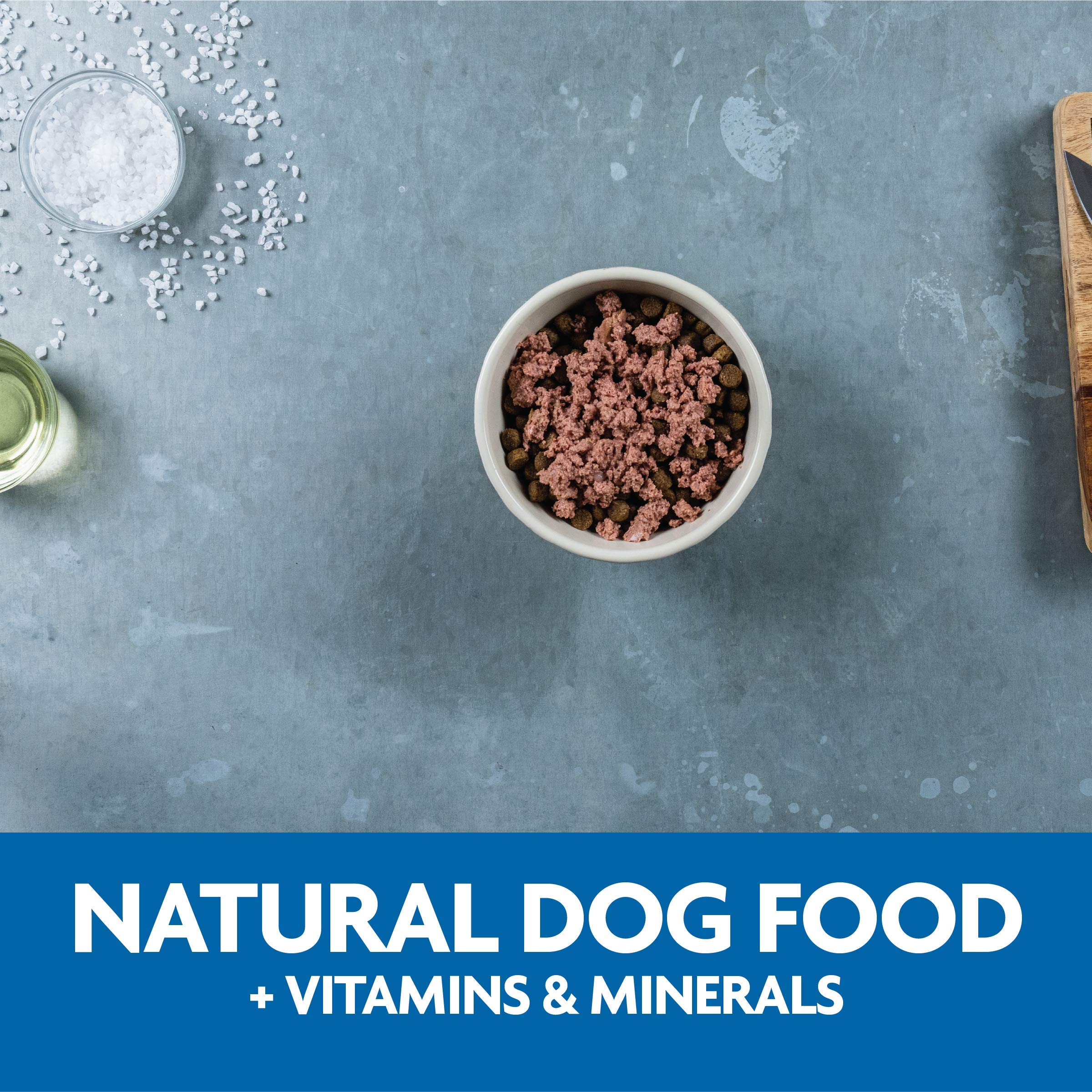 Evolve Classic Crafted Meals Chicken Recipe Dog Food - Grain Free, Natural Ingredients, 3.5oz (Pack of 15) - Perfect for Small Breeds & Puppies, Healthy Mealtime Solution