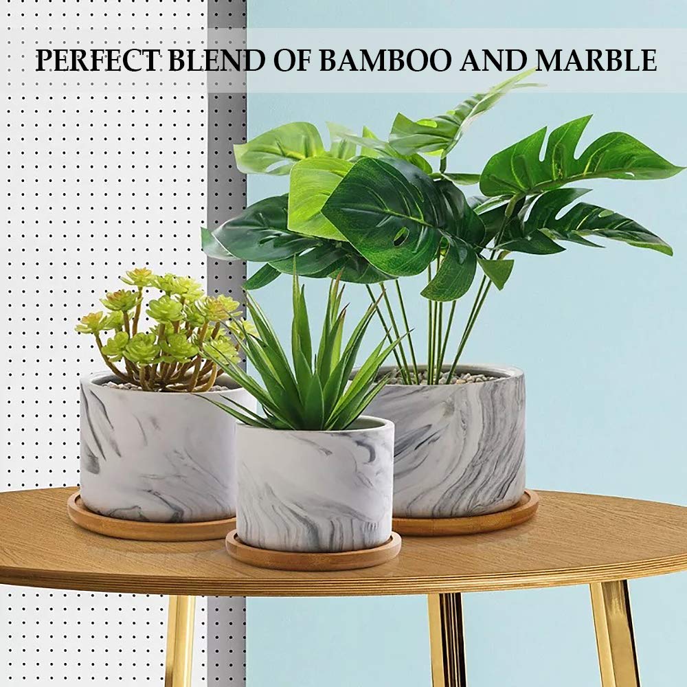 Kathson 6-Pack 4.7 Inch Round Bamboo Plant Saucers - Drainage Trays for Succulents, Pots & Planters | Perfect for Indoor Plants, Gardening & Home Decor