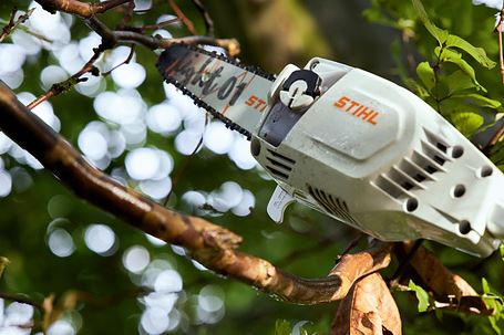 STIHL HTA 86 Cordless Pole Pruner - 20V Battery Powered Tree Trimmer with Extendable Pole for Easy Branch Cutting | Perfect for Garden Maintenance, Landscaping & Tree Care