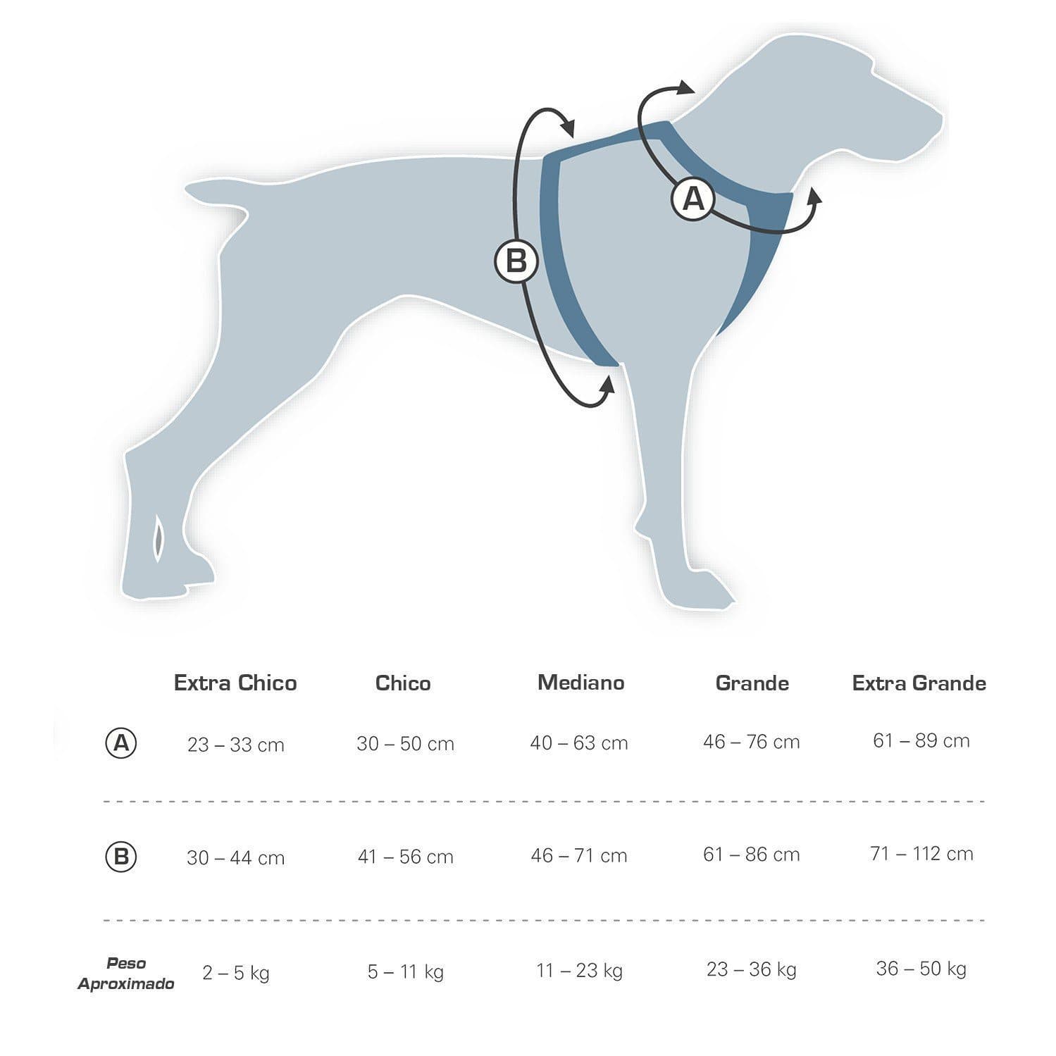Tru Fit Adjustable Dog Harness with Camera Mount - Perfect for Hiking, Running & Outdoor Adventures