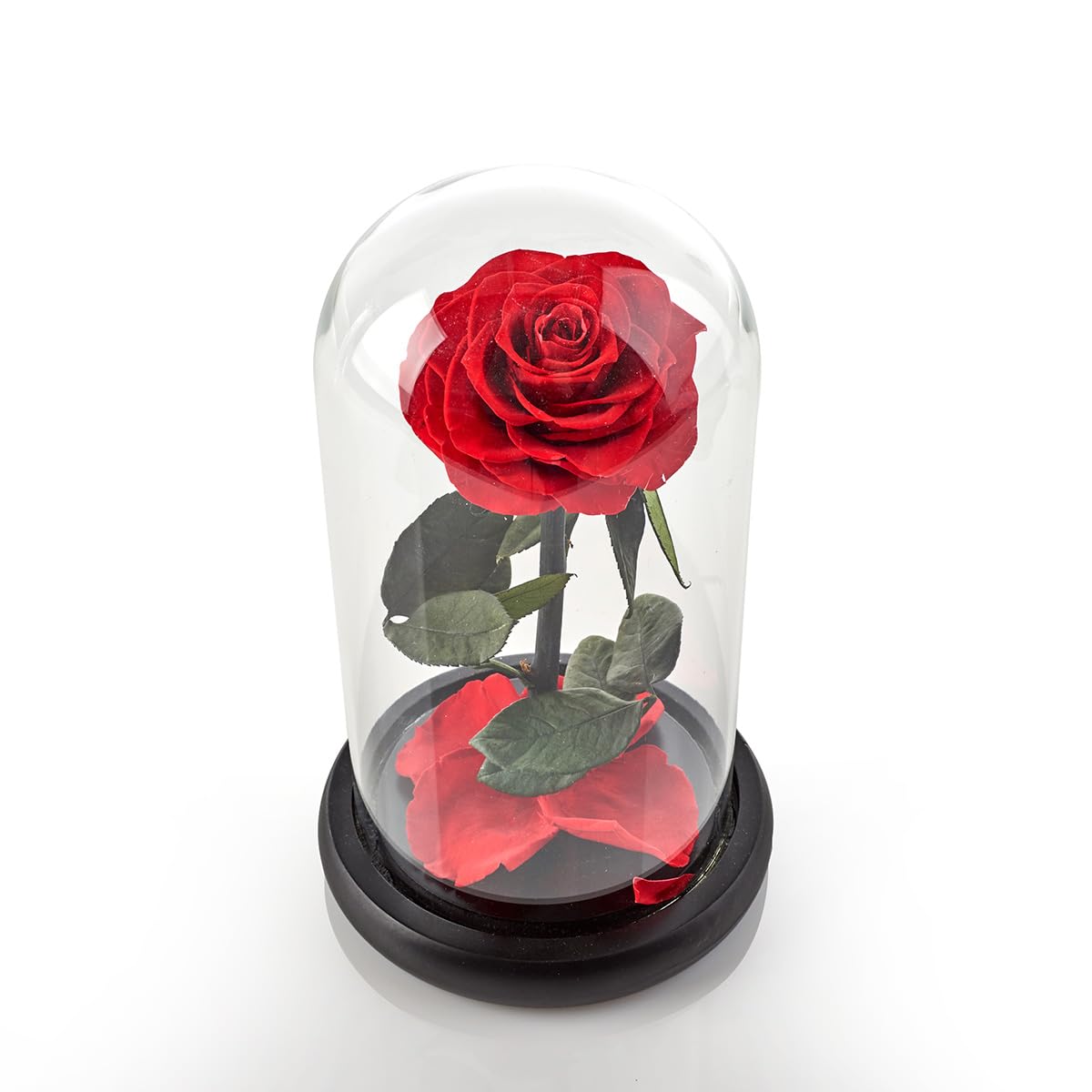 Sharper Image Timeless Rose - Eternal Preserved Real Rose Gift for Anniversary, Valentine's Day & Romantic Occasions - Perfect Home Decor & Luxury Present
