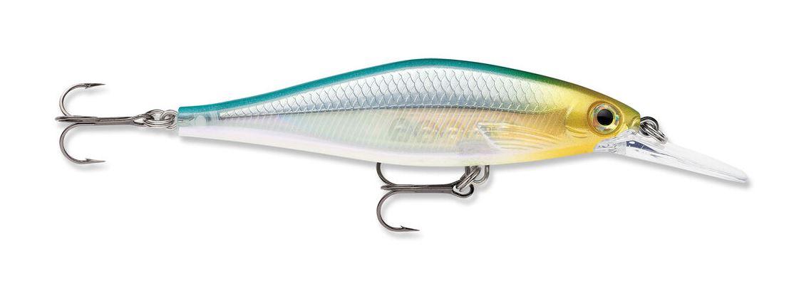 Blue Back Herring