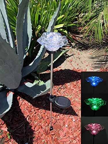 Solar Garden Stake Lights - Color Changing & White LED Landscape Path Light (1 Piece, Rose) for Outdoor Decoration, Yard, Patio, and Pathway Lighting