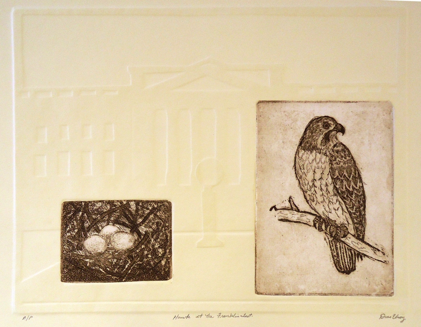 Dan McElroy Hawk at the Franklin Institute - Exclusive Collectible Figurine for Aviation Enthusiasts & Museum Lovers | Perfect for Home Decor, Office Display, and Gift Giving