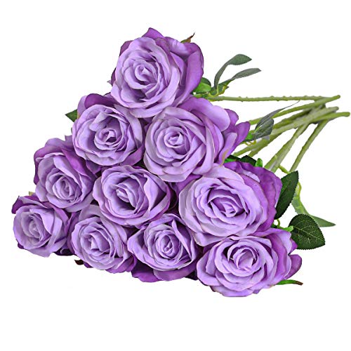 Gradient Light Purple