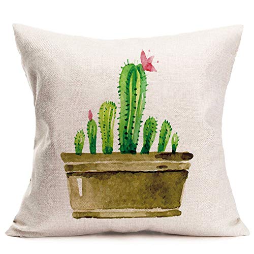 Cactus 01