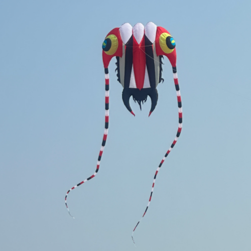 16M Trilobite Kite - Red & White Design for Beach, Park & Outdoor Flying Fun | High Performance Kite for Kids & Adults