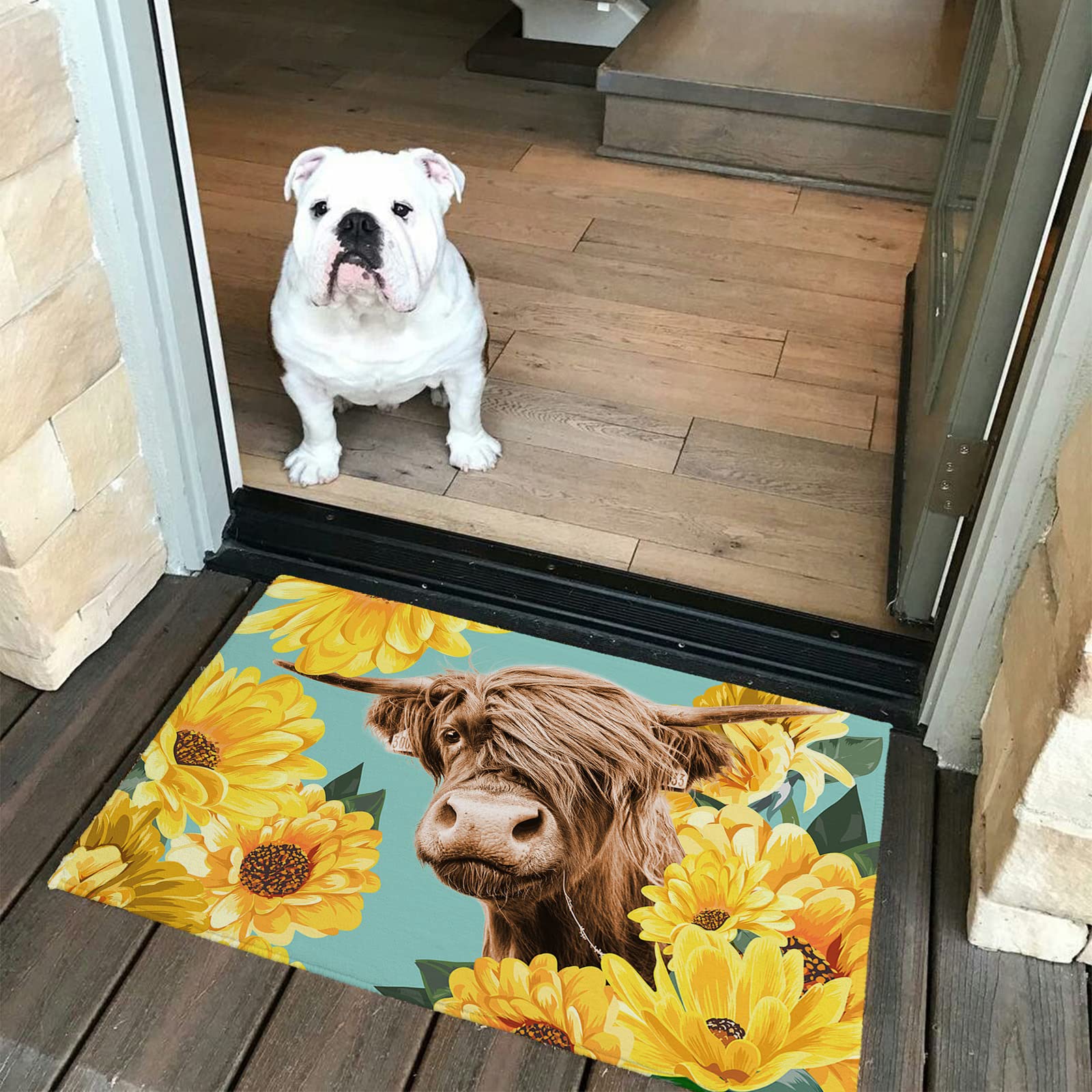 Non-Slip Rubber Backed Welcome Doormat 20x32 Inch - Indoor/Outdoor Entryway Rug with Daisy & Alpine Yak Oil Painting Design - Perfect for Front Door, Porch, Patio & Mudroom Decor