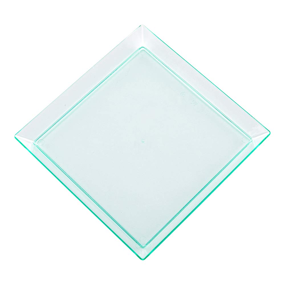 Modern Plastic Tasting Plate 5