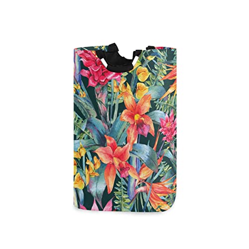 Tropical Plant 083