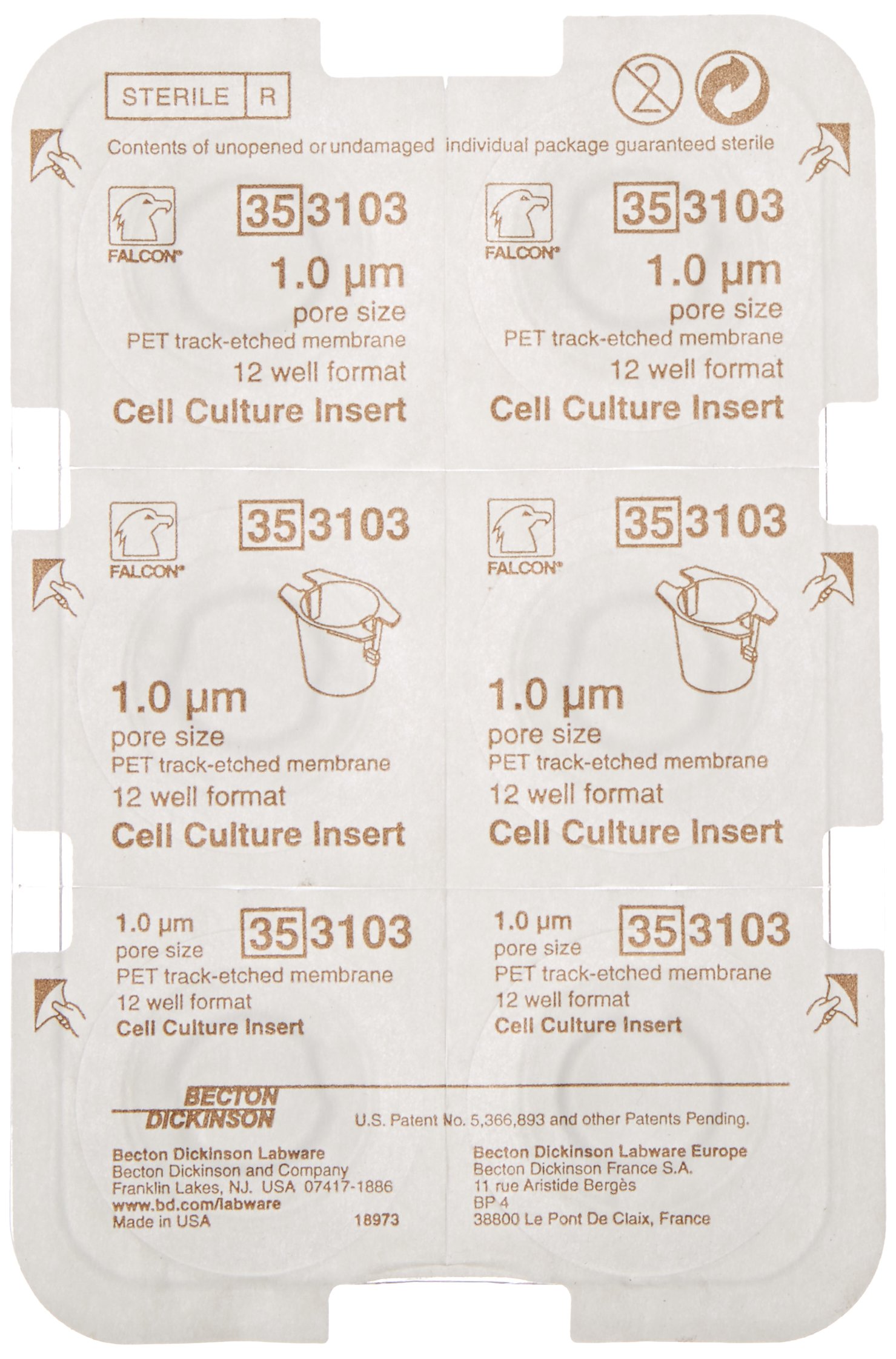BD 353102 Falcon Translucent PET Cell Culture Insert - 1.5-2.5mL Volume, 1.0 Micron Pore Size, Fits 6 Well Plates (Pack of 48) - Ideal for Cell Migration, Co-Culture & Drug Permeability Studies in Laboratories