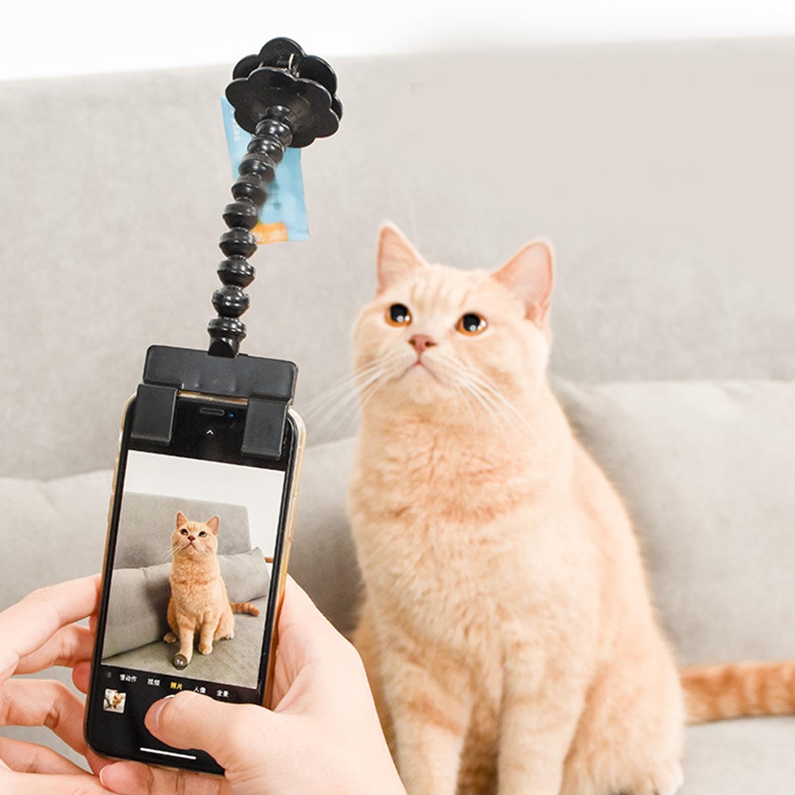 Pet Selfie Treat Clip - Dog & Cat Camera Toy for Phone, Perfect for Pet Photography & Fun Moments - Cell Phone Camera Holder & Accessories for Capturing Cute Pet Poses