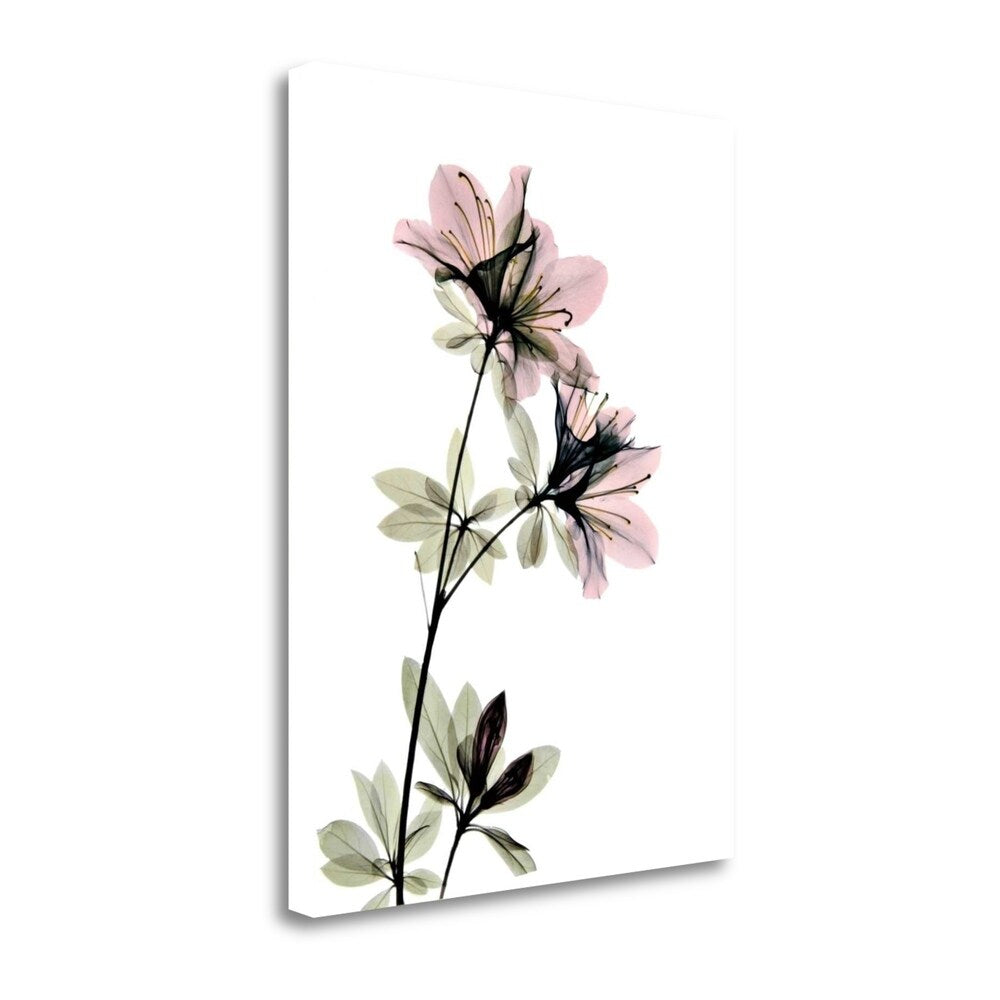 Azalea By Acee - Premium Fine Art Giclee Print on Gallery Wrapped Canvas, Ready to Hang Wall Decor - Perfect for Living Room, Bedroom & Office Artwork