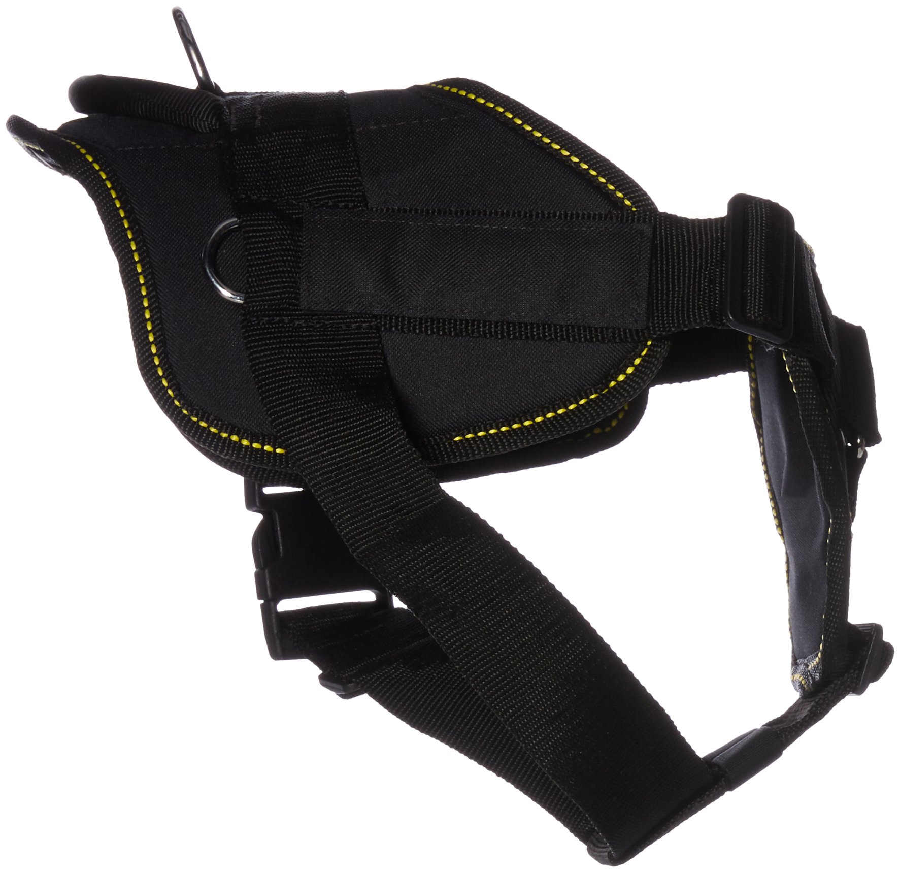 Dean & Tyler DT Fun Chest Support Harness for Dogs - Medium Size with 6ft Padded Leash | Adjustable Pet Harness for Walking, Training & Outdoor Adventures