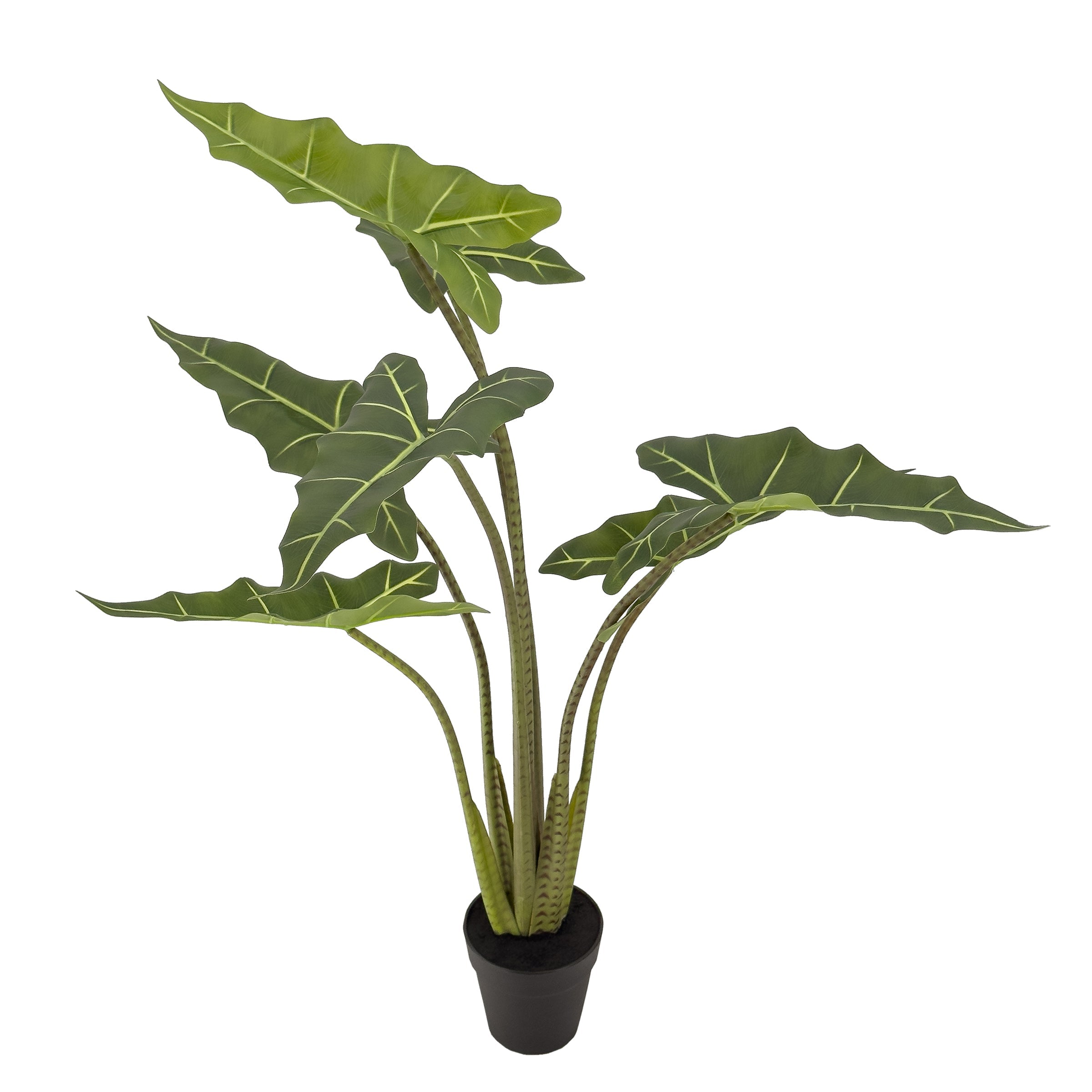 Large Artificial Alocasia Plant (Elephant Ears) - 100cm Tall Lifelike Fake Tropical Foliage for Home Decor, Office, and Indoor Greenery