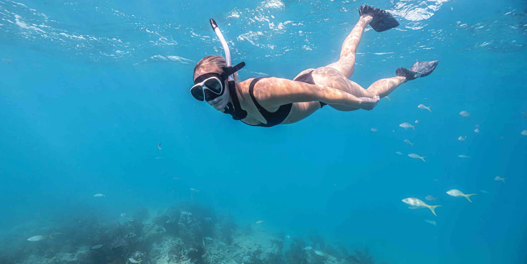 Riffe Nekton Dive Mask - Premium Scuba Diving Mask for Clear Vision Underwater - Perfect for Spearfishing, Snorkeling, and Free Diving Adventures