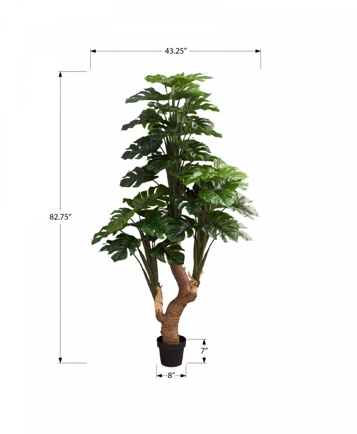 83 Monstera Deliciosa Plant with 8-Inch Black Pot - Large Indoor Houseplant for Home Decor, Office, Living Room & Bedroom