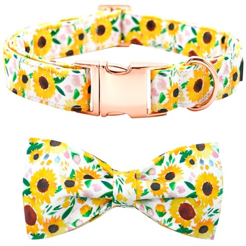 A: Sunflower