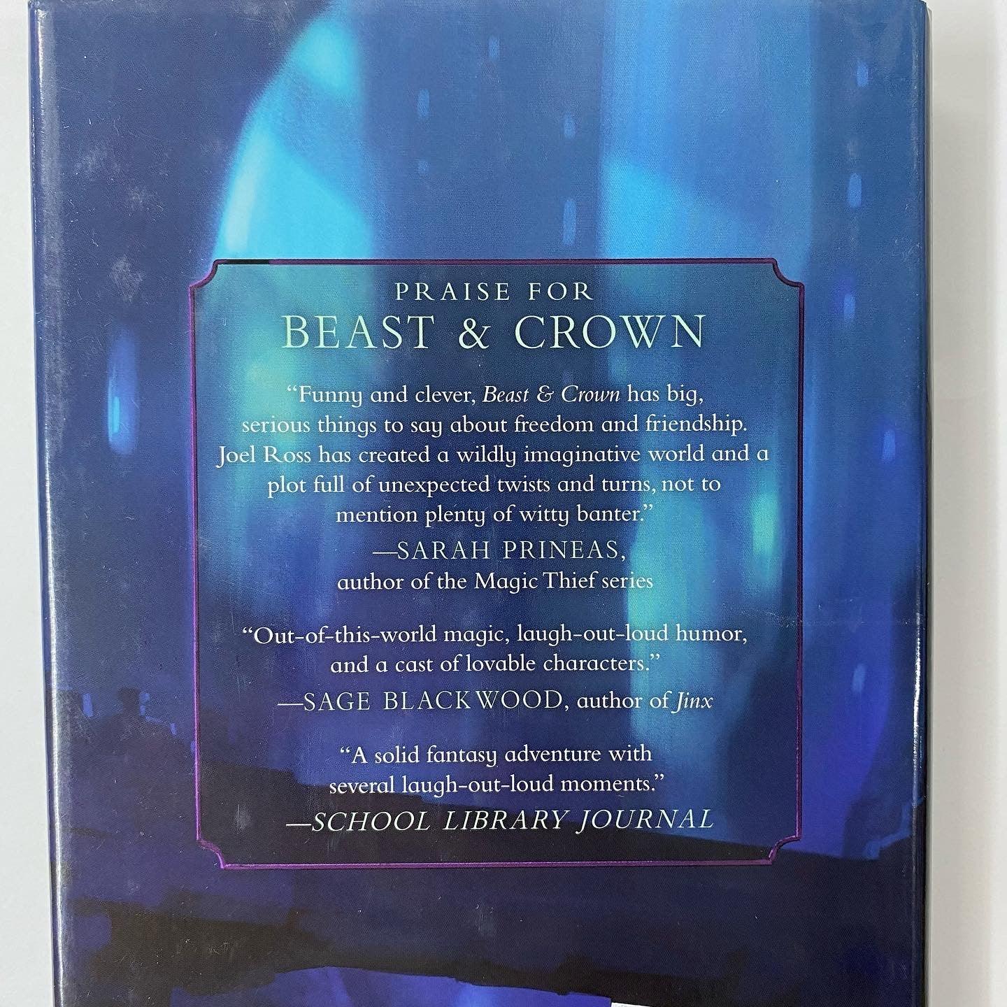Beast & Crown #2: The Ice Witch - Fantasy Adventure Novel for Teens & Young Adults - Perfect for Winter Reading & Book Clubs