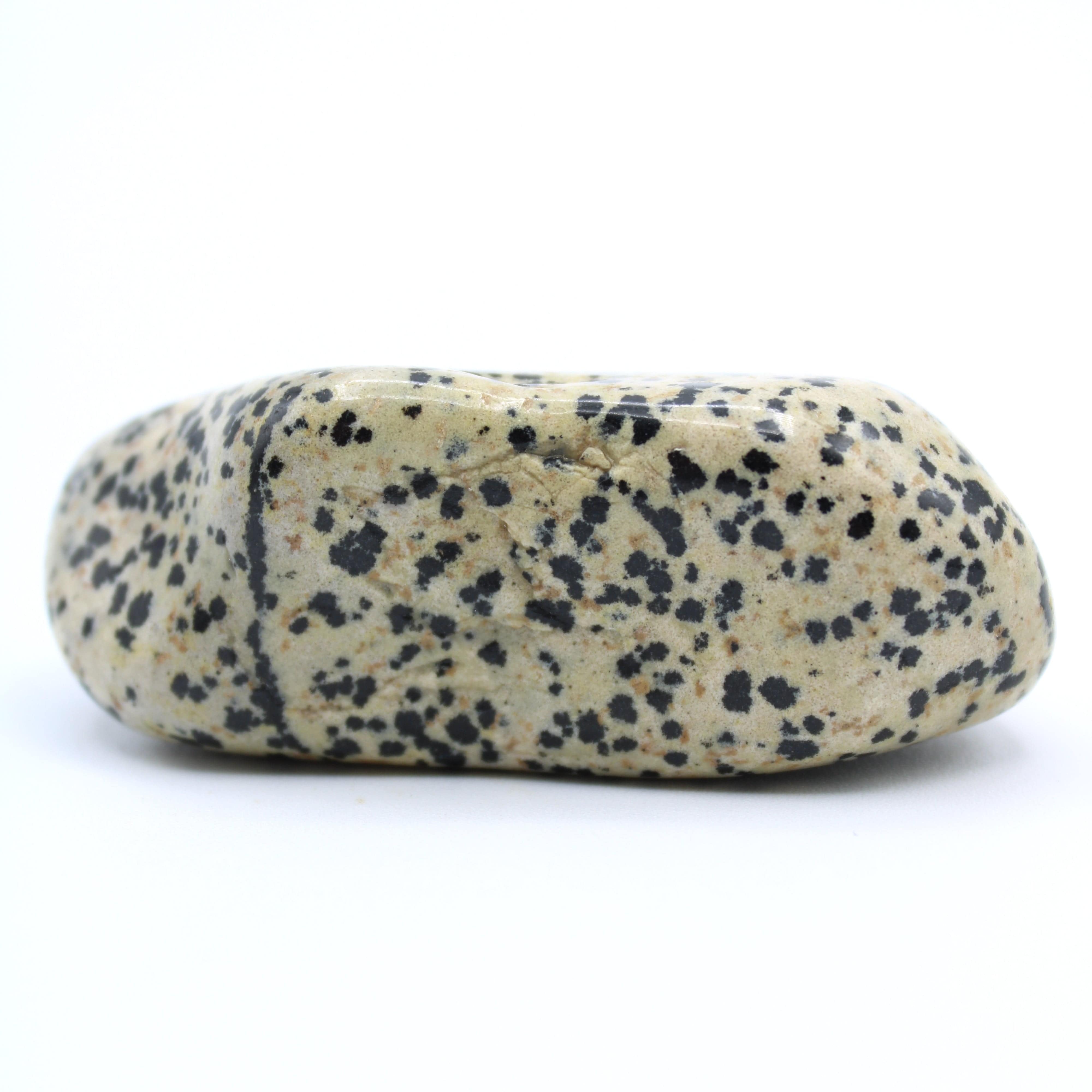 Natural Dalmatian Jasper Free Form Stone - Healing Crystal for Meditation, Home Decor & Spiritual Energy - Perfect for Yoga, Reiki & Positive Vibes