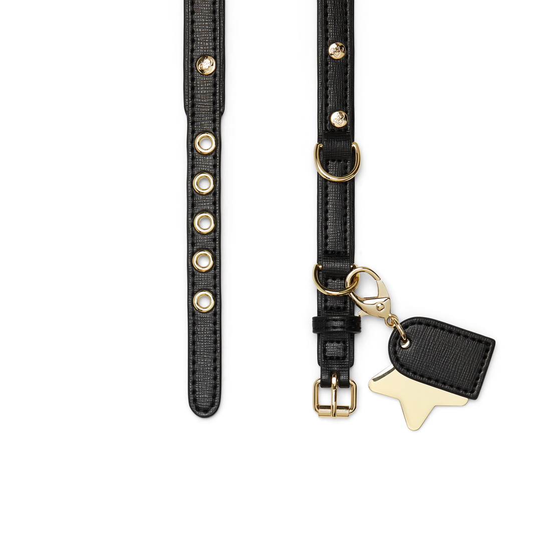 Premium Black Dog Collar for Small & Large Dogs - Durable & Adjustable Pet Collar for Walking, Training & Outdoor Adventures