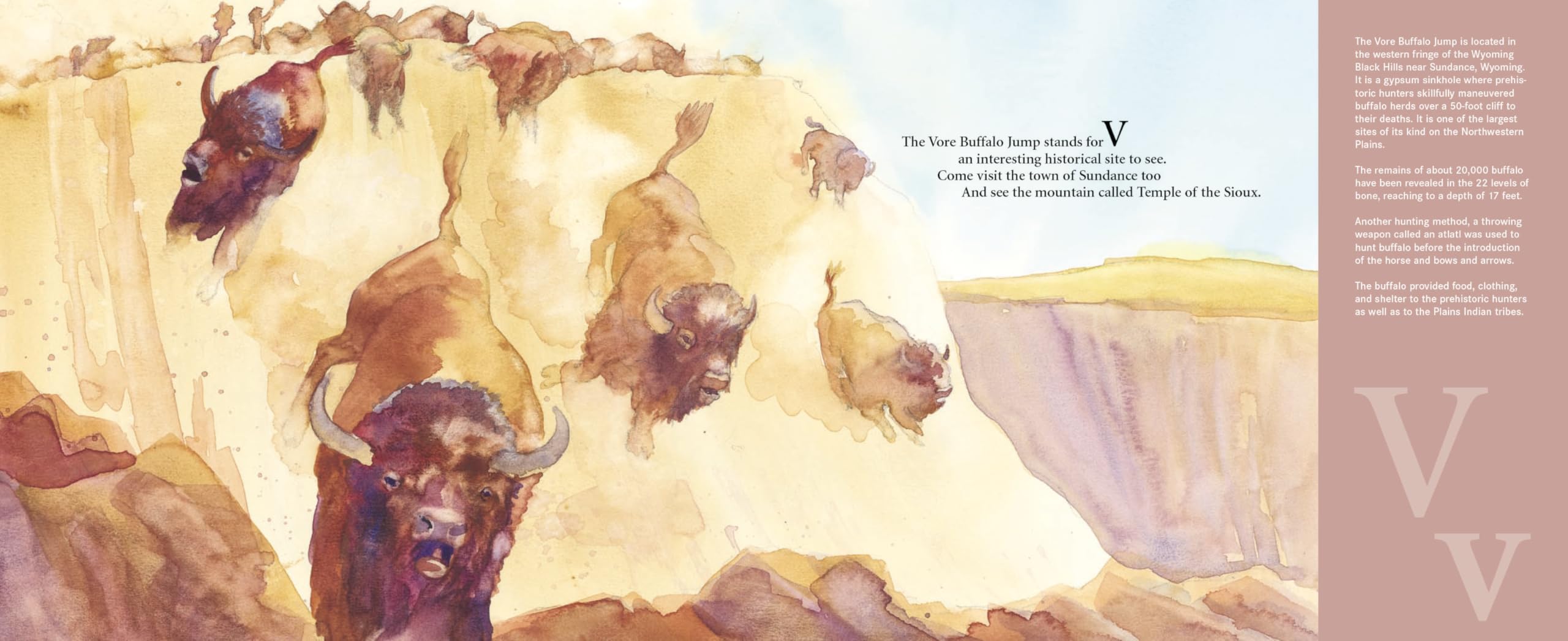C is for Cowboy: A Wyoming Alphabet Book - Discover America State by State | Educational Children's Book for Learning US Geography & Western Culture | Perfect for Homeschooling, Classroom & Travel Activities