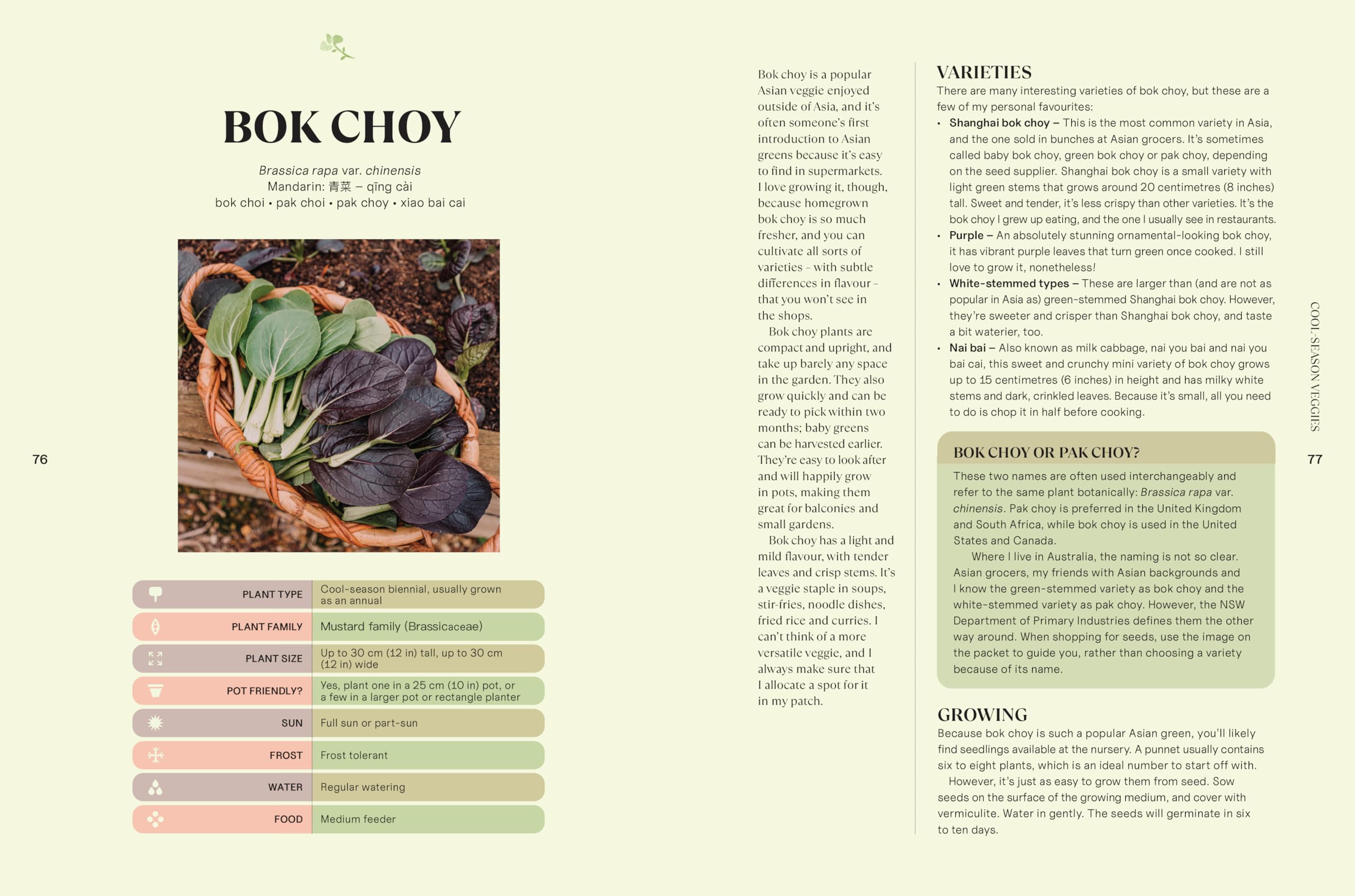 Your Asian Veggie Patch: Guide to Growing & Cooking Delicious Asian Vegetables, Herbs, and Fruits | Home Gardening & Asian Cuisine Recipes