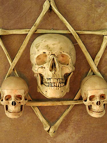 Hexagram Bone Frame Wall Sconce with Life-Size Skull & Two Mini Skulls - Gothic Home Decor for Halloween, Haunted House & Dark Aesthetic Interiors