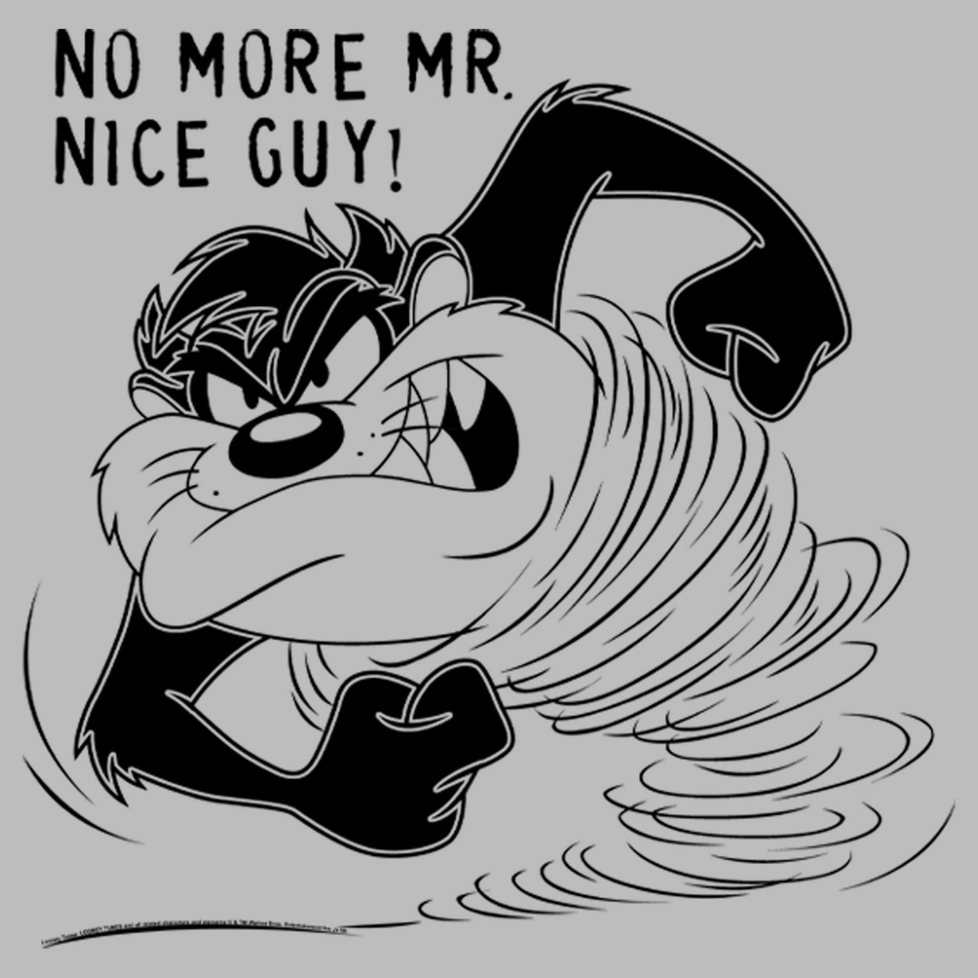 Men's Looney Tunes Taz 'No Mr. Nice Guy' Graphic T-Shirt - Funny Cartoon Character Tee for Casual Wear & Pop Culture Fans