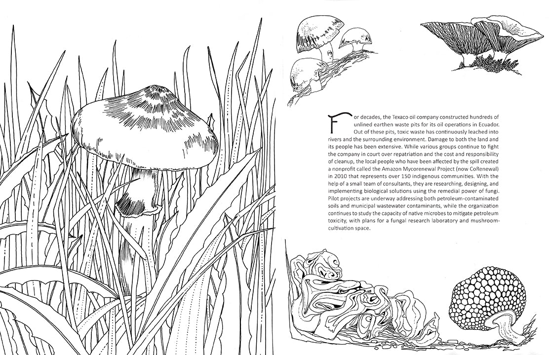 Fantastic Fungi Coloring Book for Adults - Relaxing & Creative Mushroom Designs for Stress Relief - Perfect for Meditation, Art Therapy & Nature Lovers