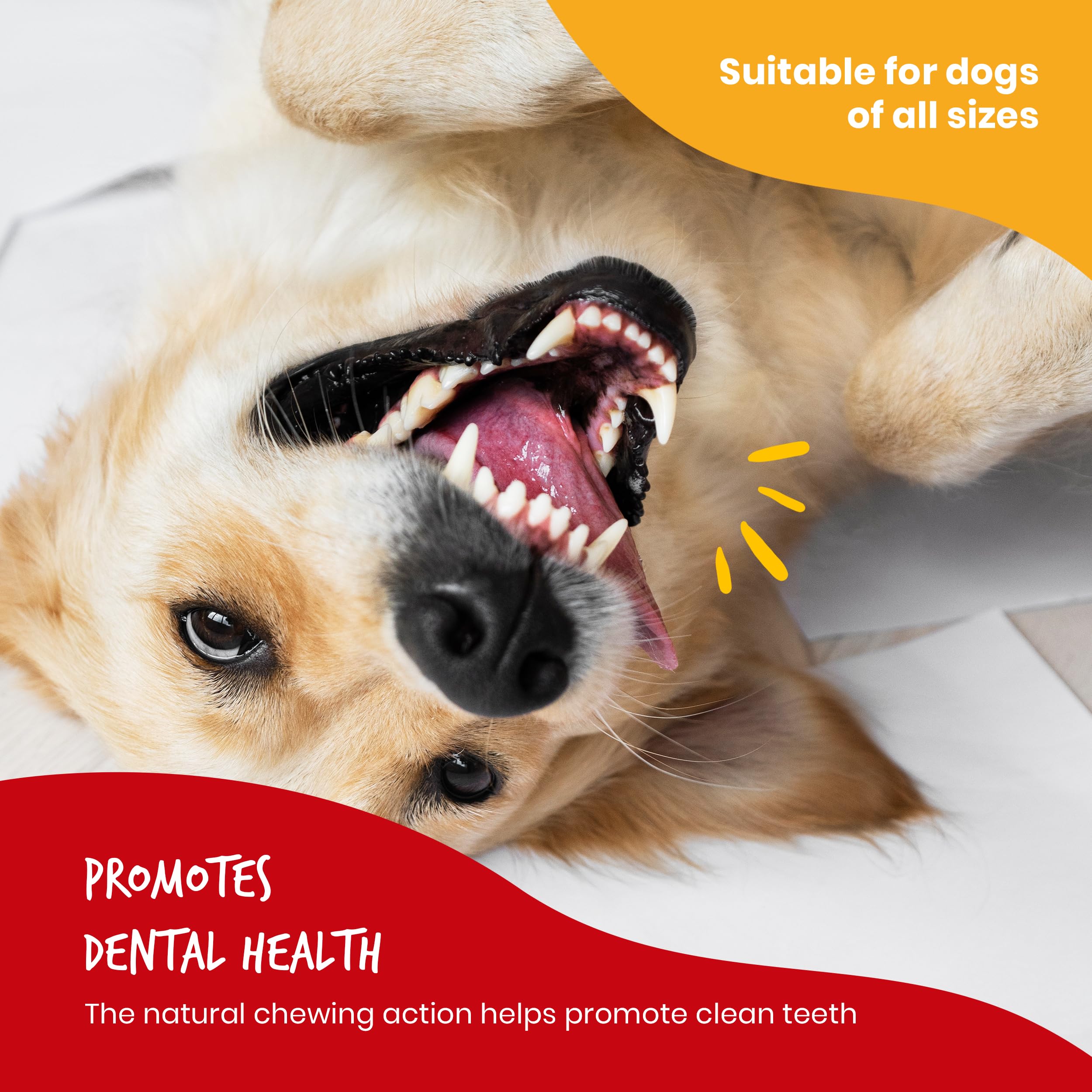 Beefeaters Dog Treats - Beefhide 5in Twist with Chicken 1.41oz (Case of 12) | High Protein, Low Fat Dog Chews Enriched with Vitamins & Minerals | Dental Care & Teeth Cleaning Treats | Perfect for Training Small, Medium & Large Dogs | Great for Reward, Travel & Playtime
