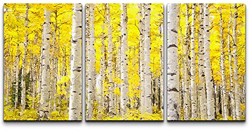 Base03-2105-nature-hol20