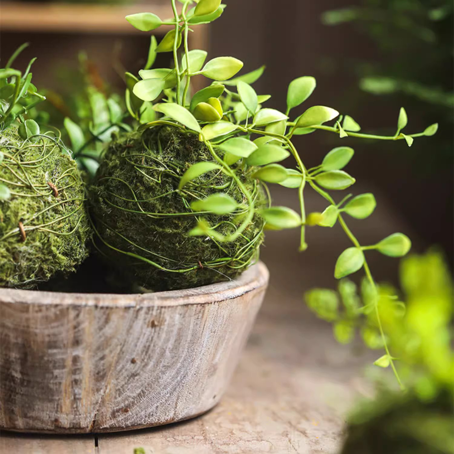 Premium Mossy Meadow Foam Ball - Natural Decorative Moss Ball for Home & Office Decor, Terrariums, Aquariums, and DIY Crafts - Perfect for Indoor Plant Displays, Wedding Centerpieces, and Zen Garden Decorations