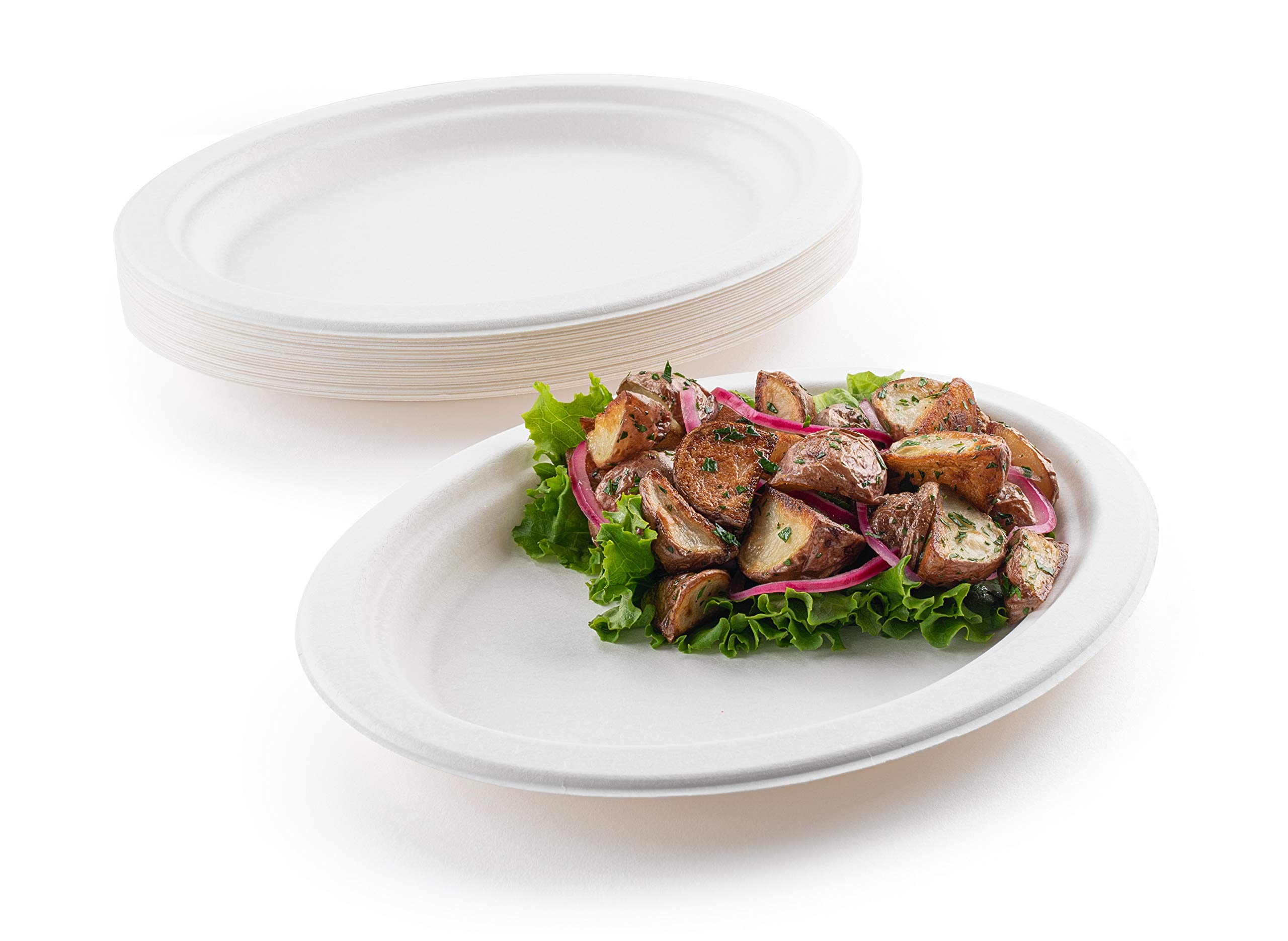 500 Heavy Duty Disposable Oval Paper Dinner Plates – 7.5