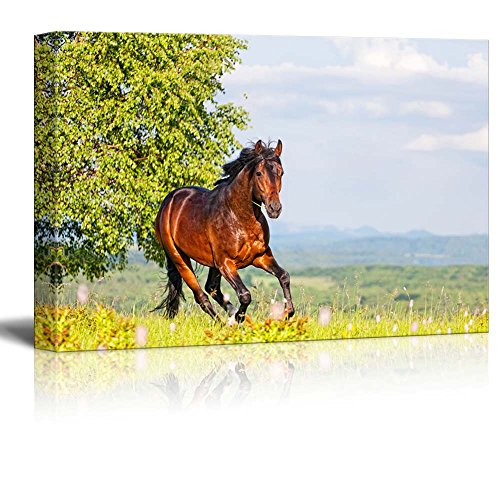 Bay Horse Skips