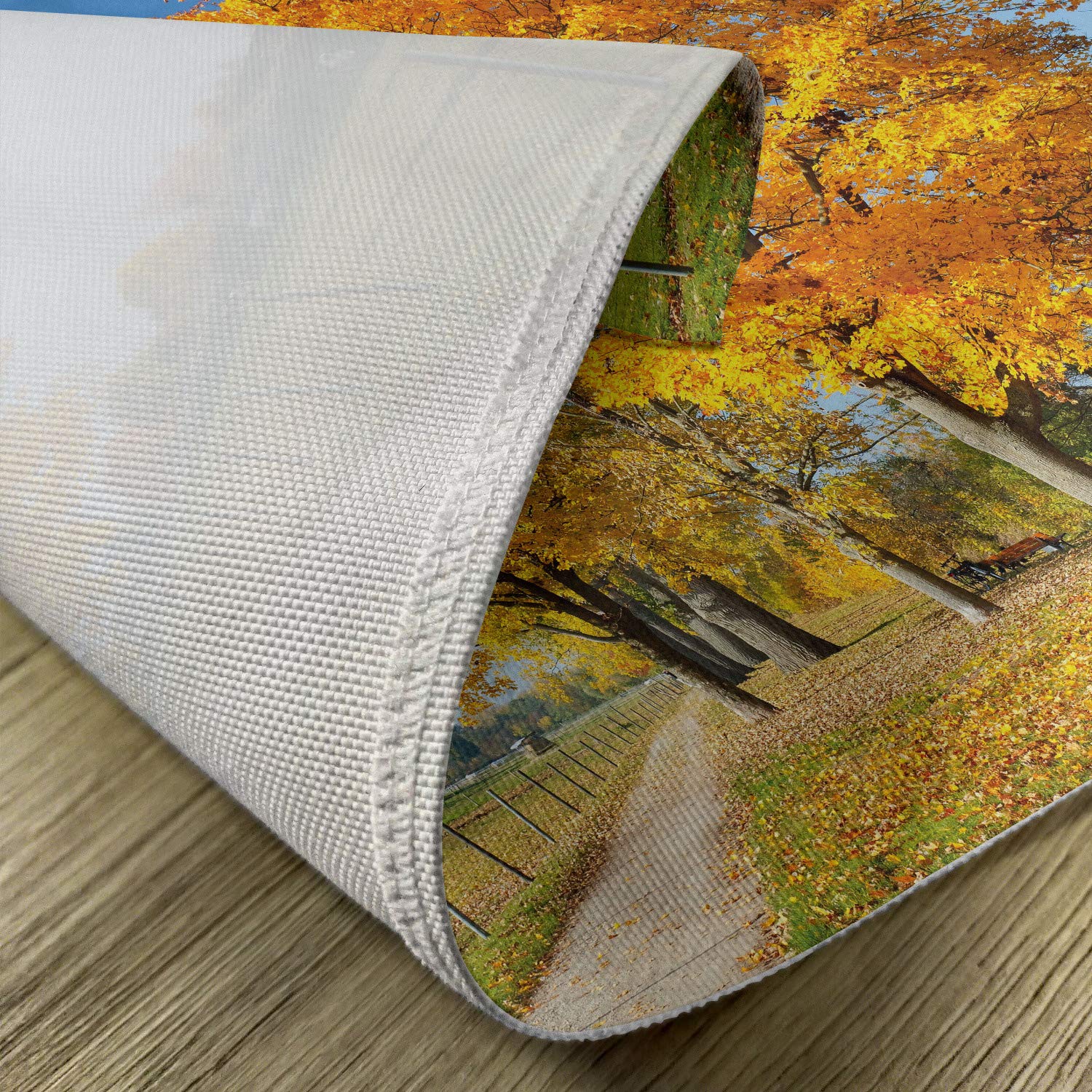 Ambesonne Fall Placemats Set of 4 - Maple Trees Countryside Landscape Washable Fabric Dining Table Mats for Kitchen & Dining Room Decor in Pale Blue Yellow Green - Perfect for Autumn Dinner Parties & Holiday Gatherings